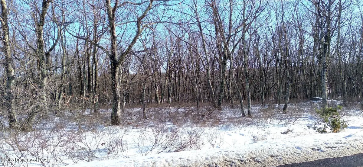 TV Lot 290 Butternut Lane, Hazle Township in Hazle Township
