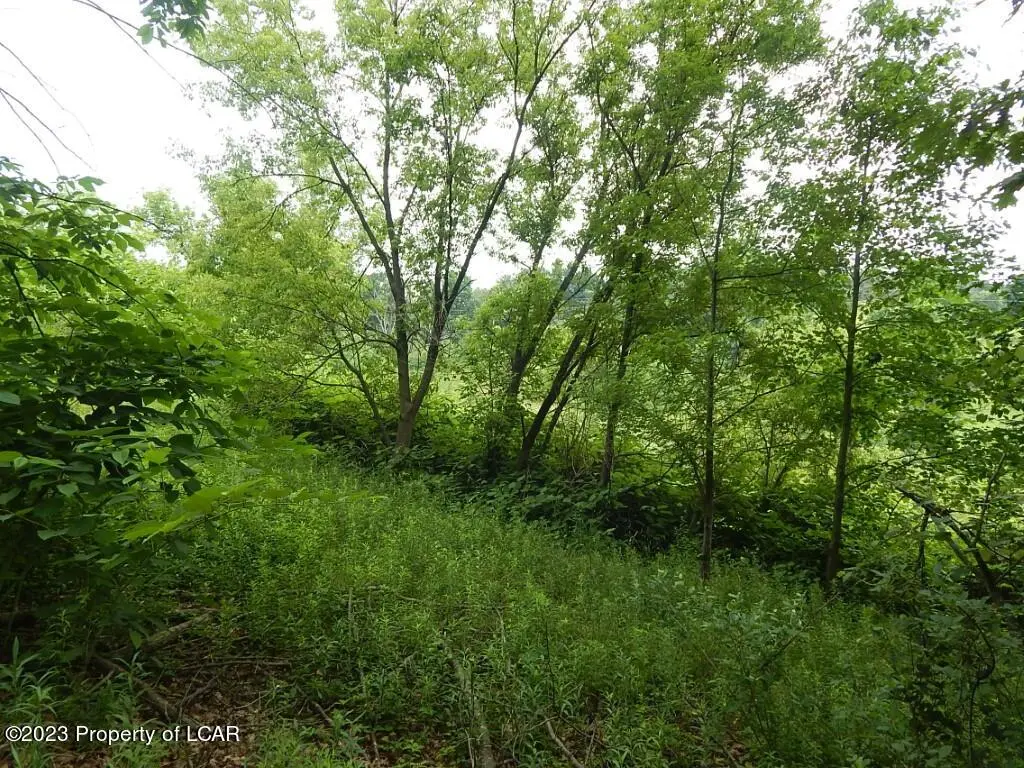 Lot 6 & Lot 31 E Center Street, Shavertown in Shavertown