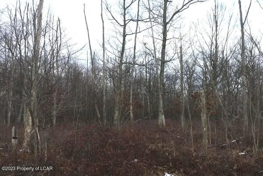 TT Lot 213 Tamarillo Circle, Hazle Township in Hazle Township
