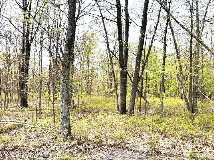TT Lot 240 Alder Lane, Hazle Township in Hazle Township