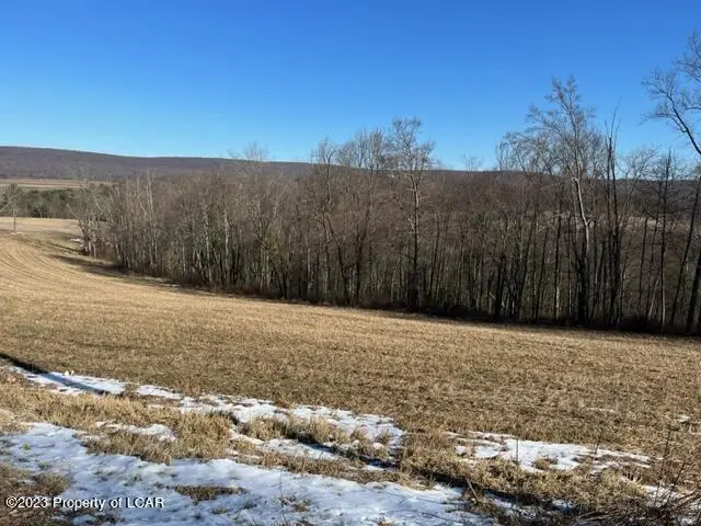 Deep Hole (15.639 Acres) Road, Drums in Drums