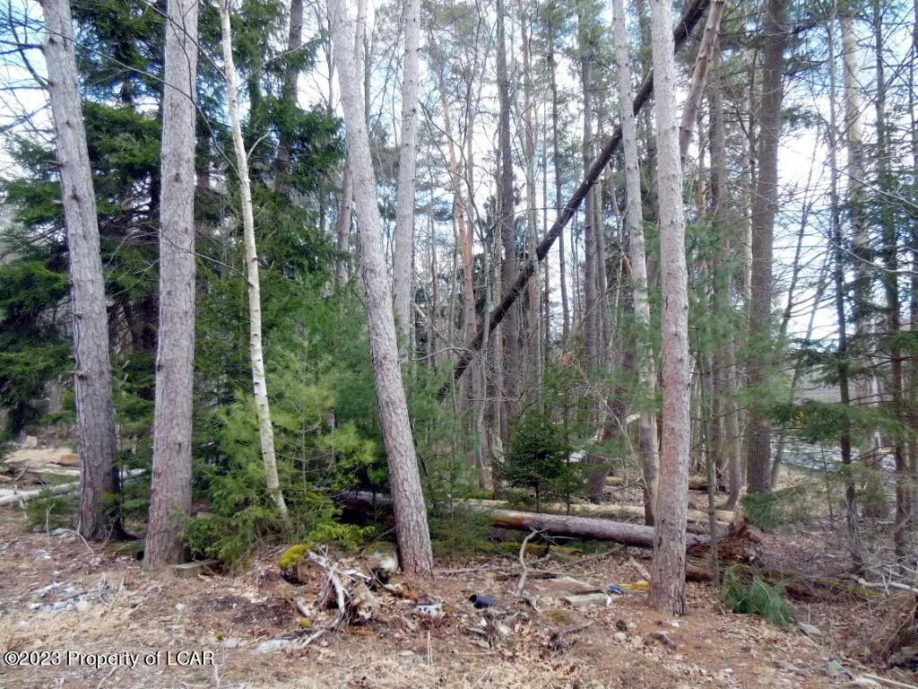 2165 Alberdeen Road, Mountain Top in Mountain Top