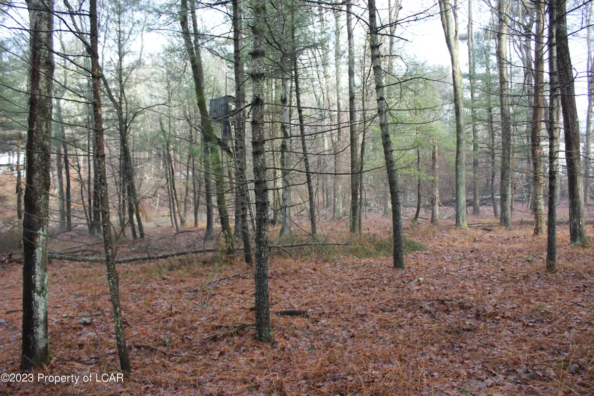 Meeker Road, Lehman in Lehman