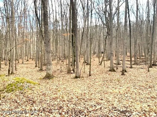 E Lot 84 Delaware Drive, Hazleton in Hazleton