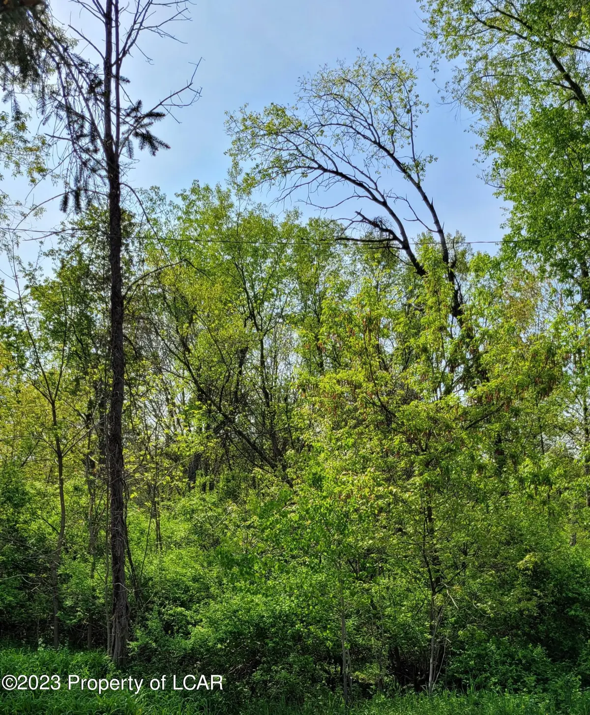 250 Levitt Hill Road, Tunkhannock in Tunkhannock