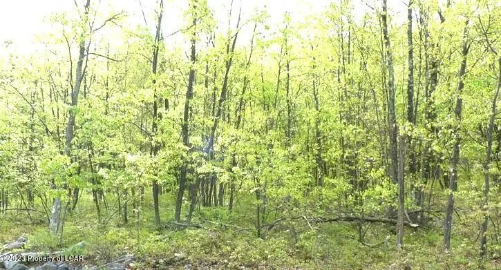 LV 301 Wild Plum Way, Hazle Township in Hazle Township