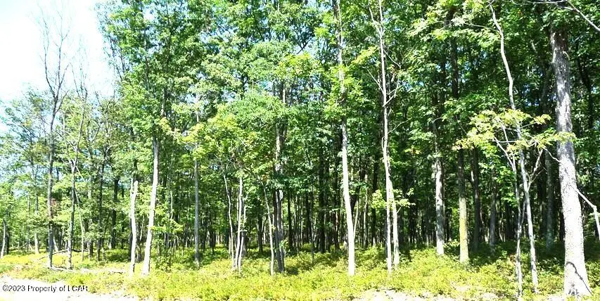 TT Lot 136 Huckleberry Lane, Hazle Township in Hazle Township