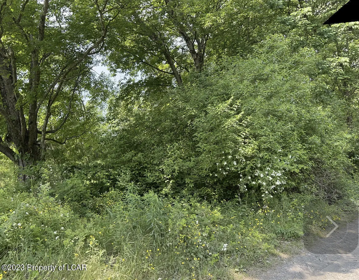 Ashton Road, Harveys Lake in Harveys Lake