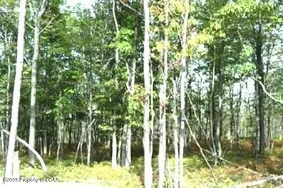 TT Lot 084 White Oak Lane, Hazle Township in Hazle Township