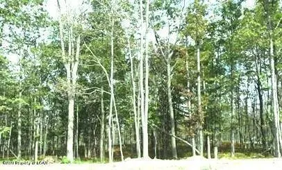 TT Lot 085 White Oak Lane, Hazle Township in Hazle Township