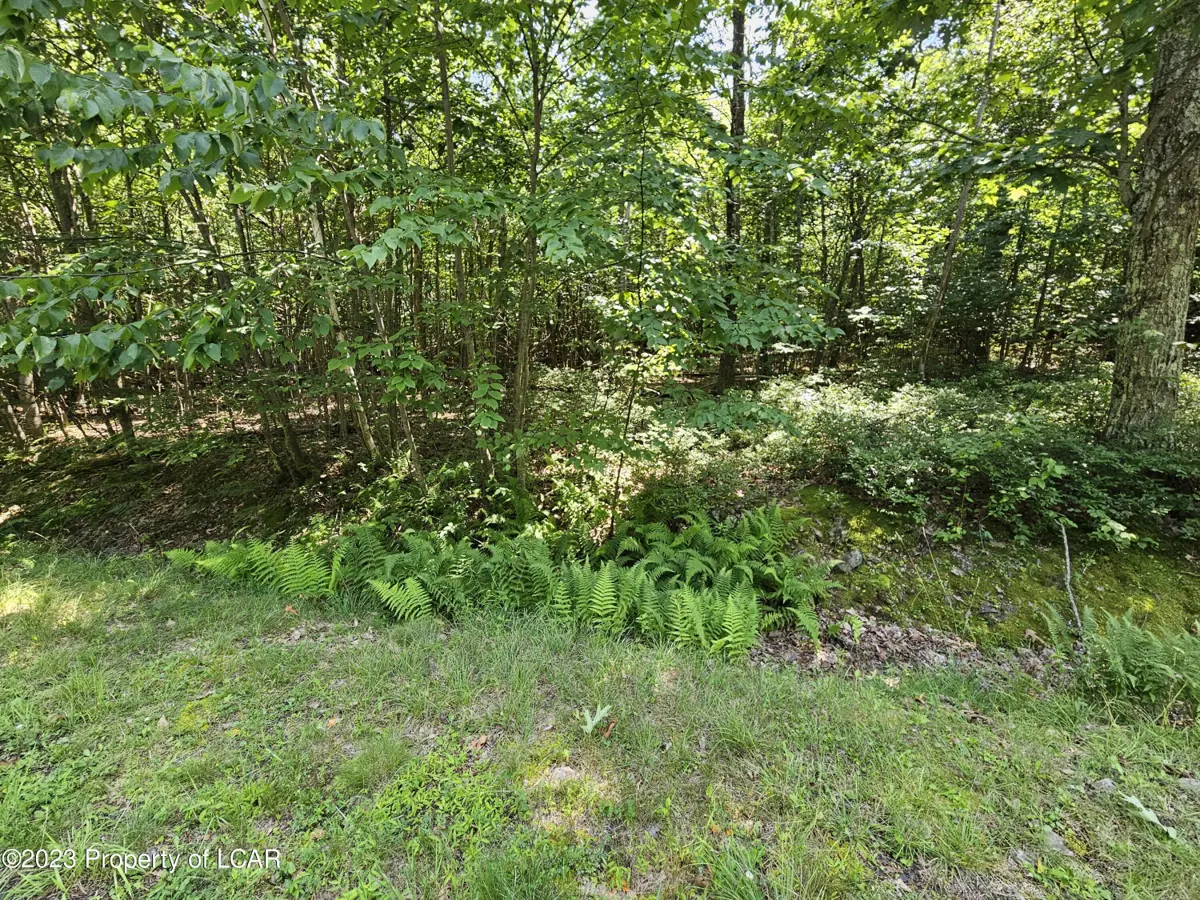 TV Lot 051 White Oak Lane, Hazle Township in Hazle Township