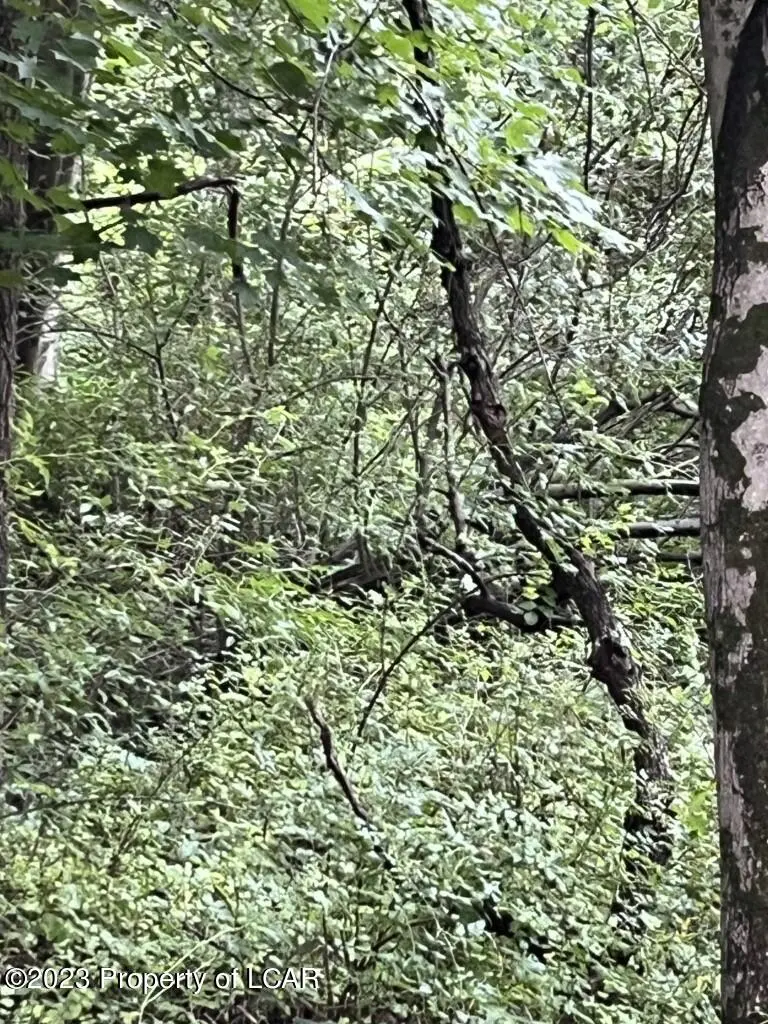 20G Bee Tree Road, Shickshinny in Shickshinny