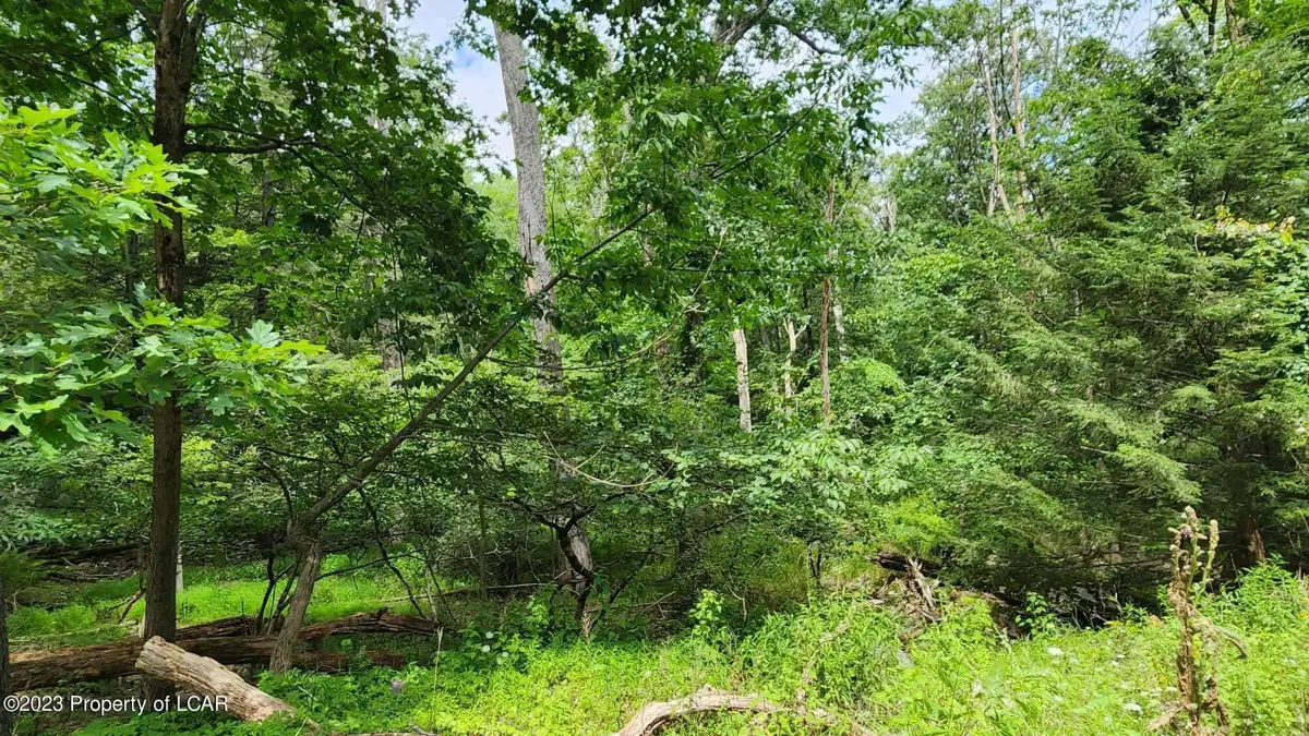 Oak Ridge Lane, Cresco in Cresco