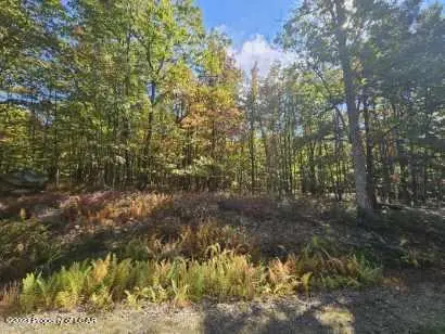 LV Lot 194 Arrowwood Drive, Hazle Township in Hazle Township