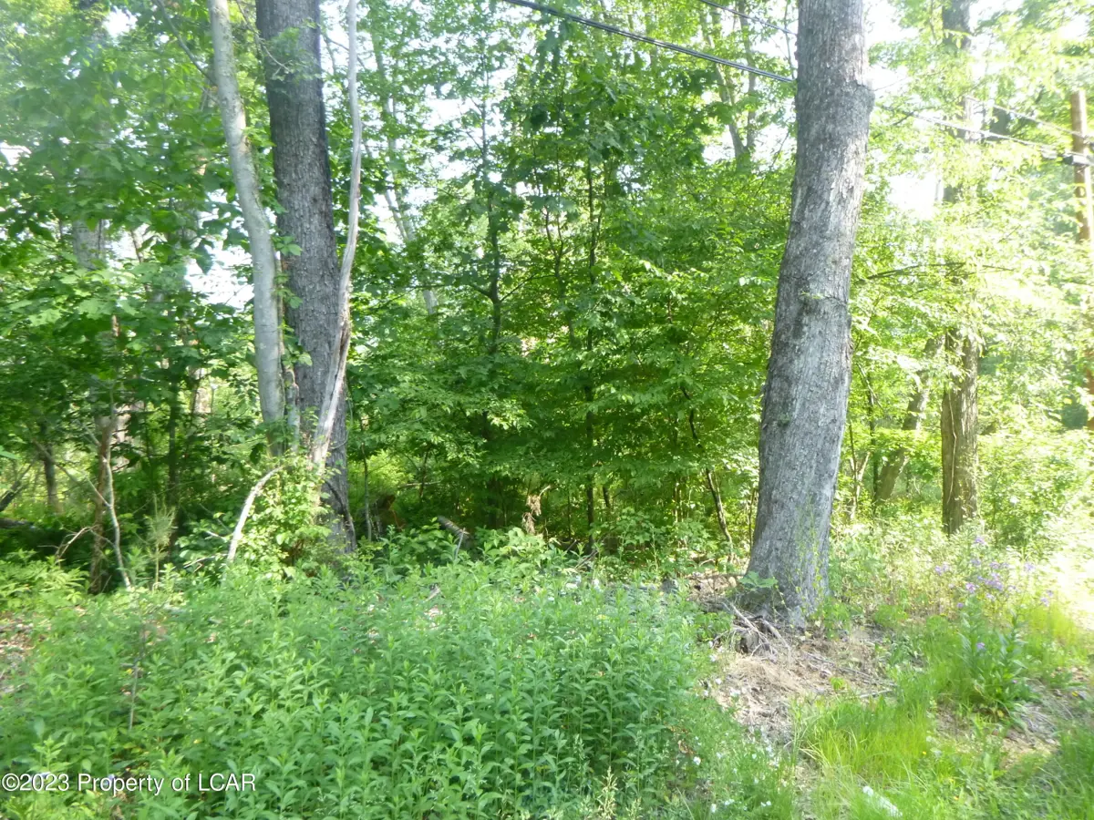 Spring Hill Drive, Hunlock Creek in Hunlock Creek