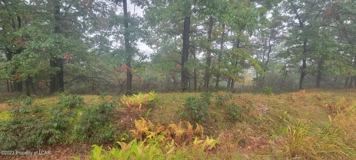 TH Lot 121 Buttonbush Lane, Hazle Township in Hazle Township