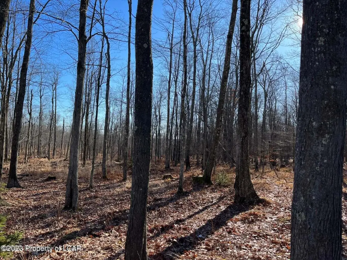Thornhurst Road, Bear Creek in Bear Creek