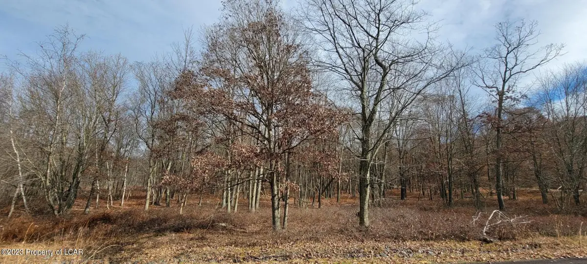 Lot 189 Fawn Lily Drive, Hazle Township in Hazle Township