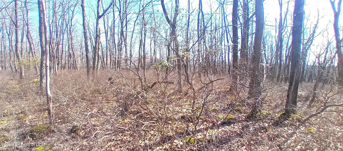 WS Lot 393 Horseshoe Drive, Hazleton in Hazleton