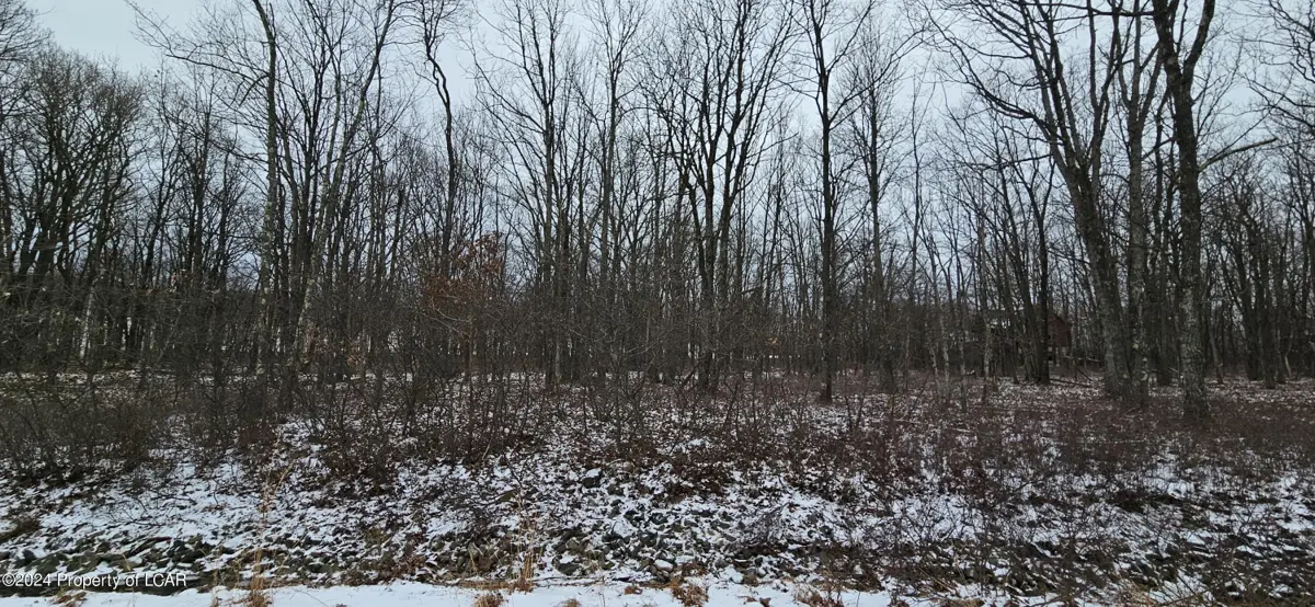 TH Lot 320 Blue Spruce Drive, Hazle Township in Hazle Township