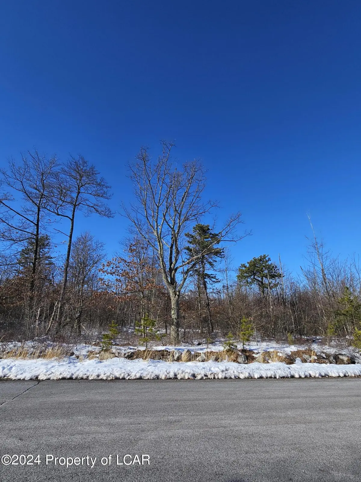 255 Buck Mountain Boulevard, Hazle Township in Hazle Township
