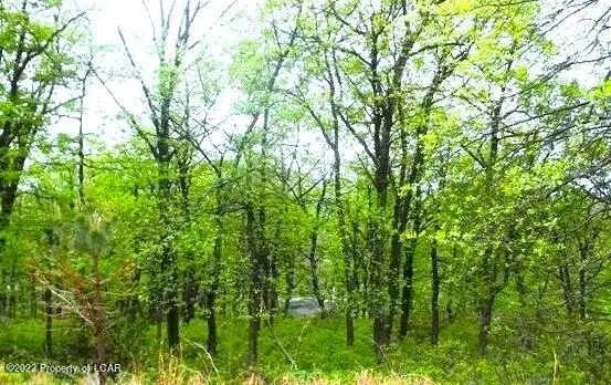 WS Lot 084 Butte Road, Hazleton in Hazleton