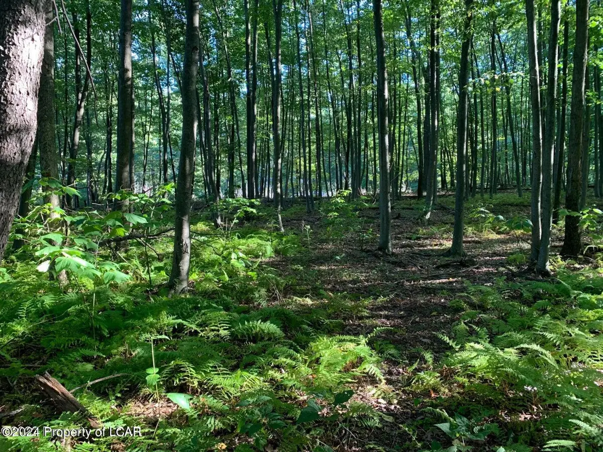 Lot 23 N Prospect Park Drive, Sugarloaf in Sugarloaf