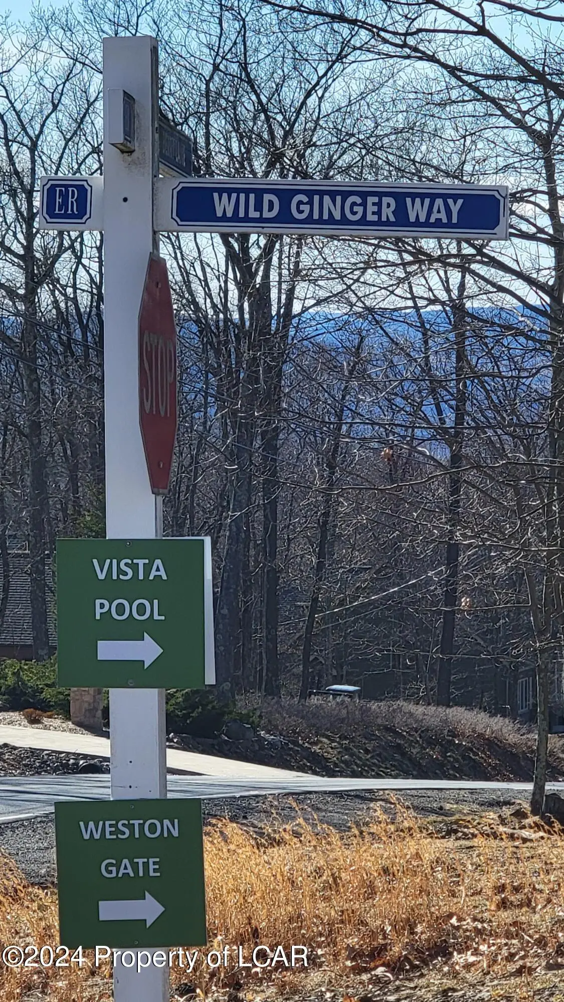 LV Lot 452 Wild Ginger Way, Hazle Township in Hazle Township