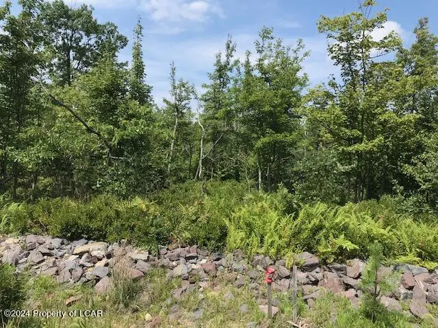 555 MOUNTAIN View Drive, Hazle Township