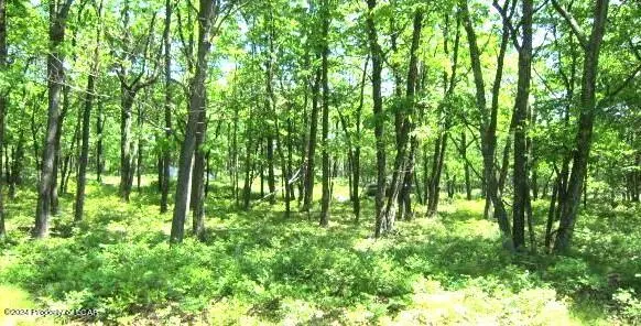 LV Lot 491 Buttonbush Lane, Hazle Township in Hazle Township