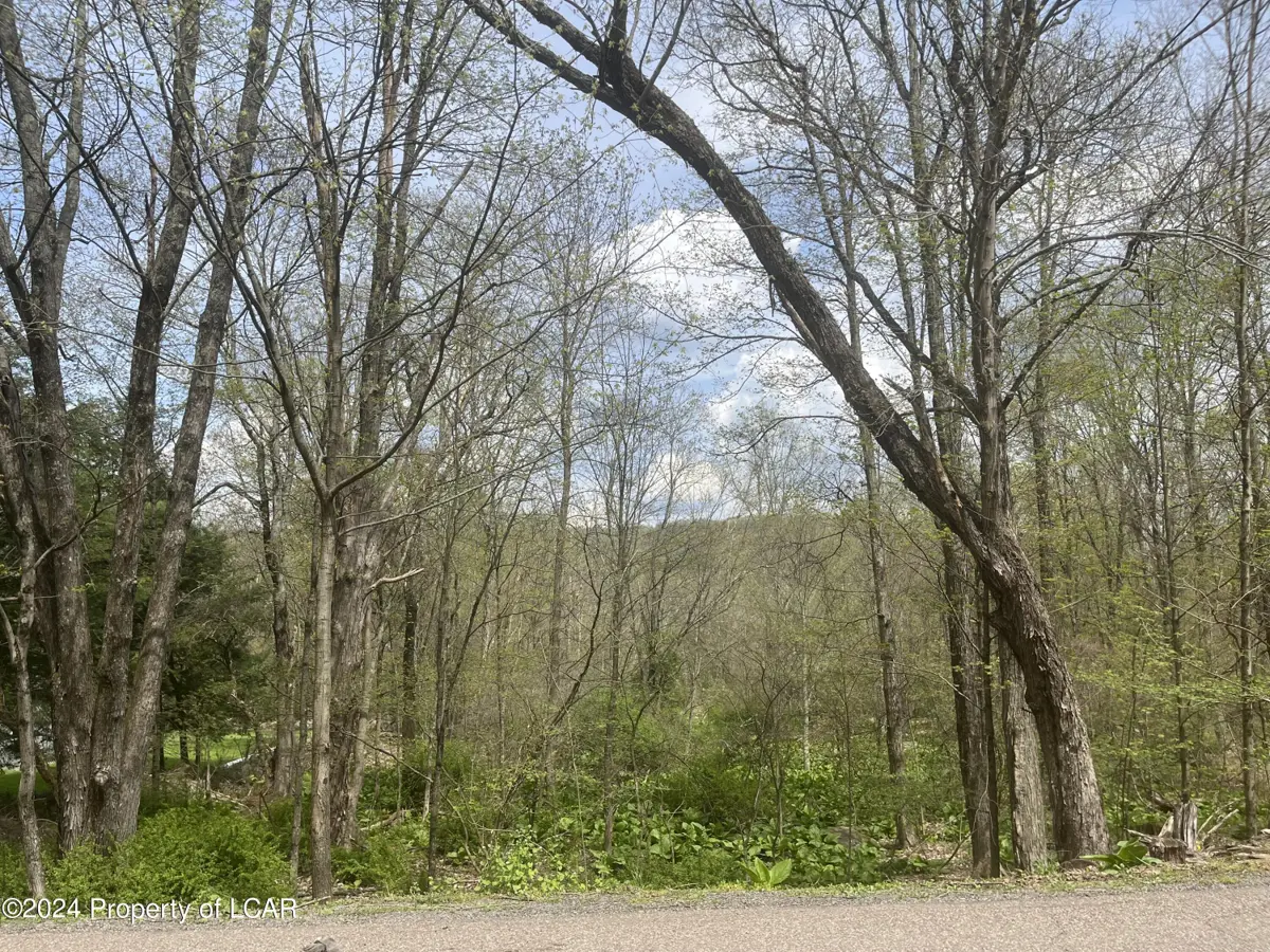 Reyburn Road, Shickshinny in Shickshinny
