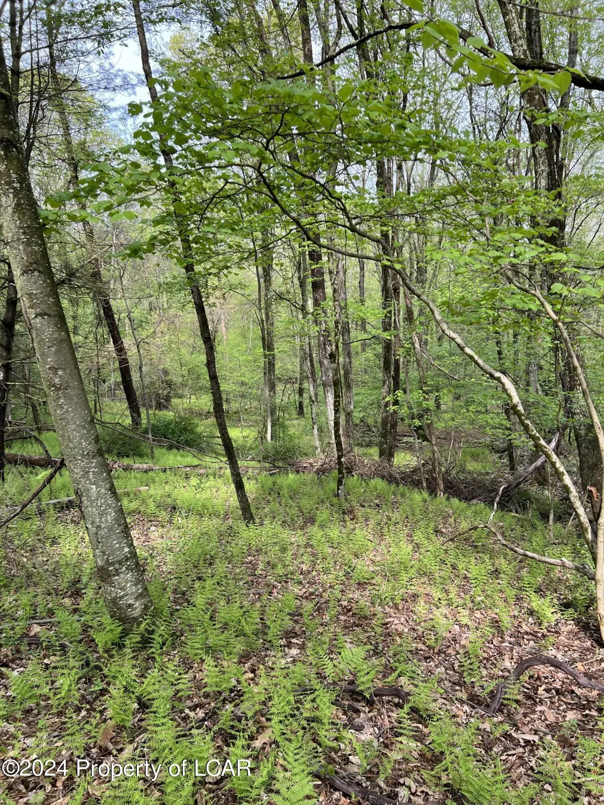 Callendar Road, Hunlock Creek in Hunlock Creek
