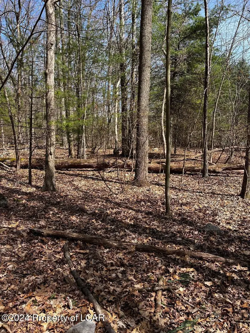 Lilly Lake Road, Wapwallopen in Wapwallopen