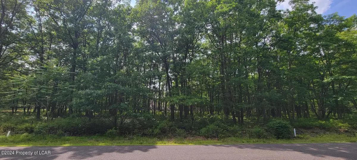 TH 208 Buttonbush Lane, Hazle Township in Hazle Township