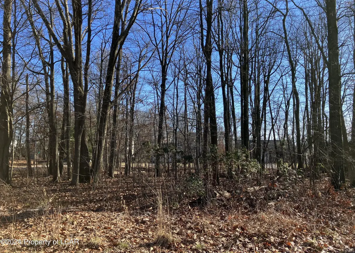 Hollywood Boulevard, Hazle Township in Hazle Township