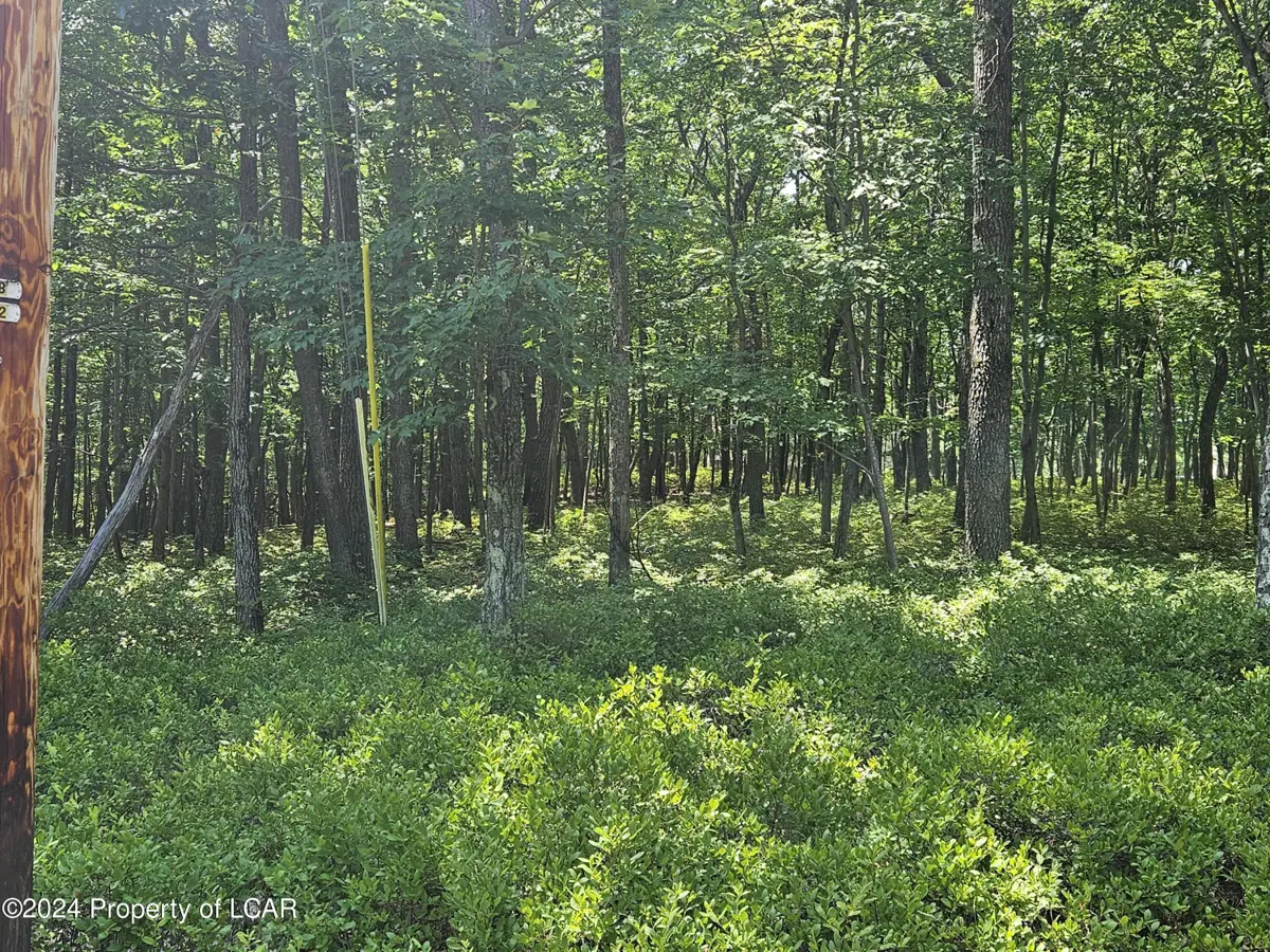 TT Lot 97 Huckleberry, Hazle Township in Hazle Township