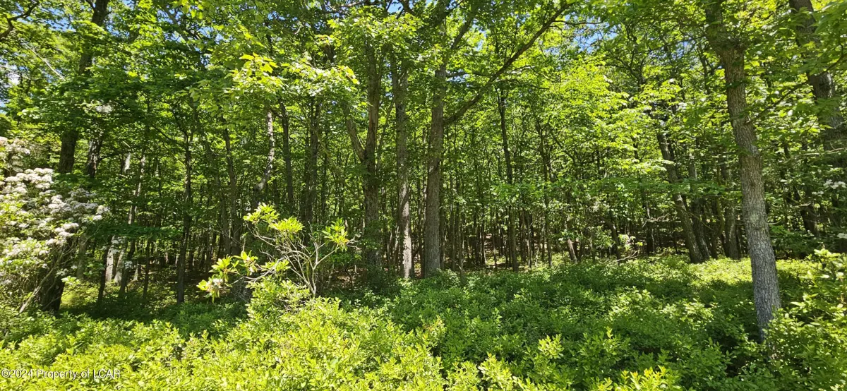 WS Lot 206 Adobe Way, Hazleton in Hazleton