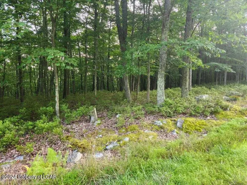 JAE Lot 41 Quapaw Drive, Hazle Township in Hazle Township