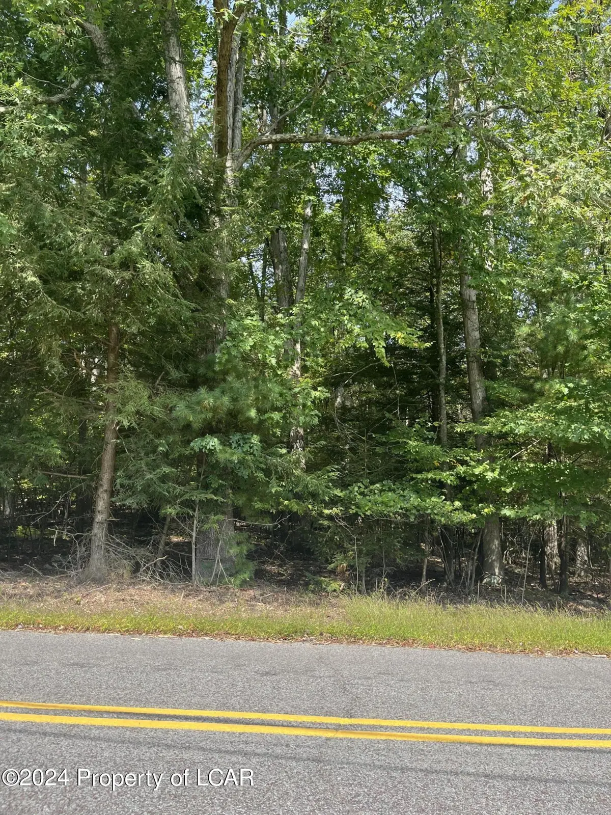 Pall Road, Hunlock Creek in Hunlock Creek