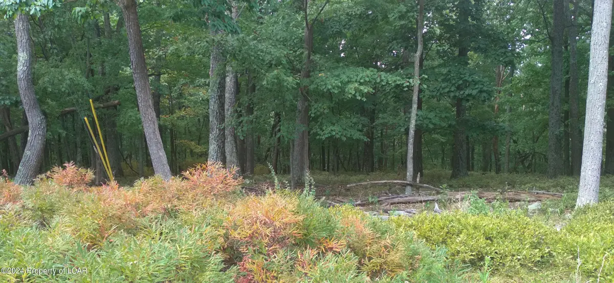 LV Lot 095 Elderberry Lane, Hazle Township in Hazle Township