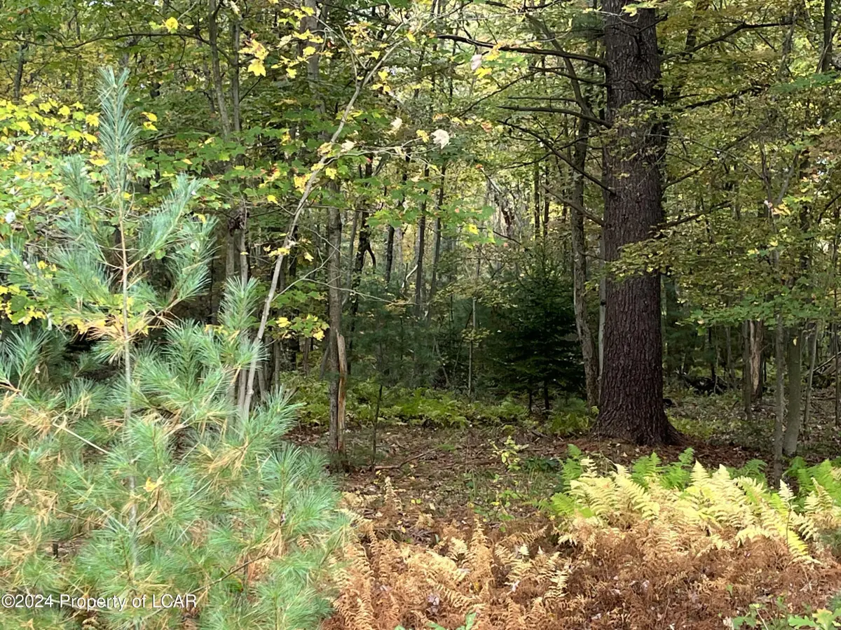 Lot 31 C Lewin Lane, Bear Creek in Bear Creek