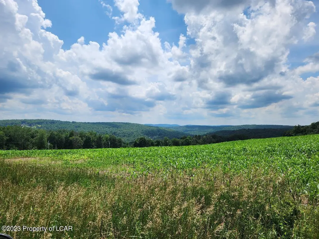 89.11 Acre Prichards Road, Hunlock Creek in Hunlock Creek
