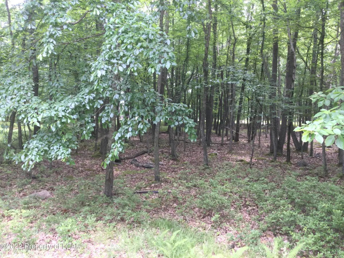 JAE 109 Kickapoo Drive, Hazle Township