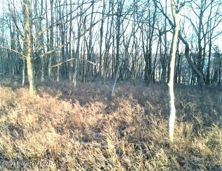 RV Lot 215 Pawnee Avenue, Hazleton in Hazleton