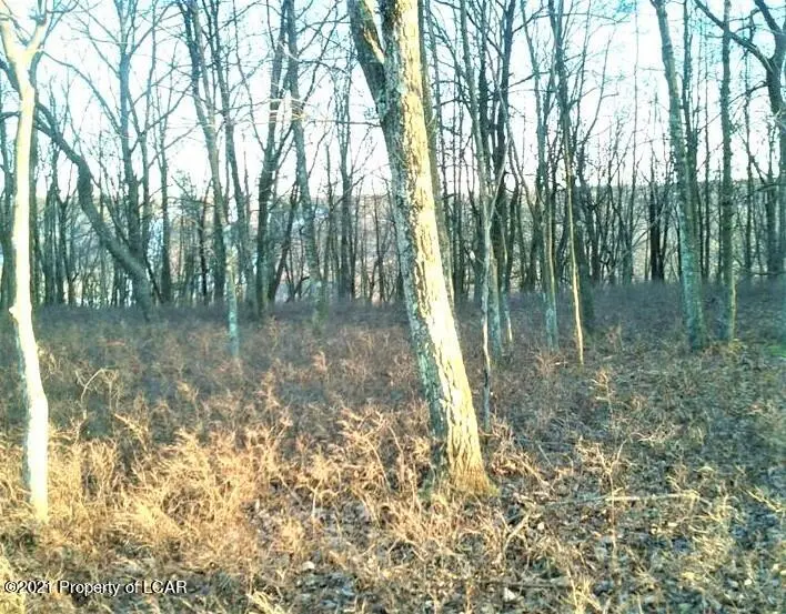 RV Lot 216 Pawnee Avenue, Hazleton in Hazleton