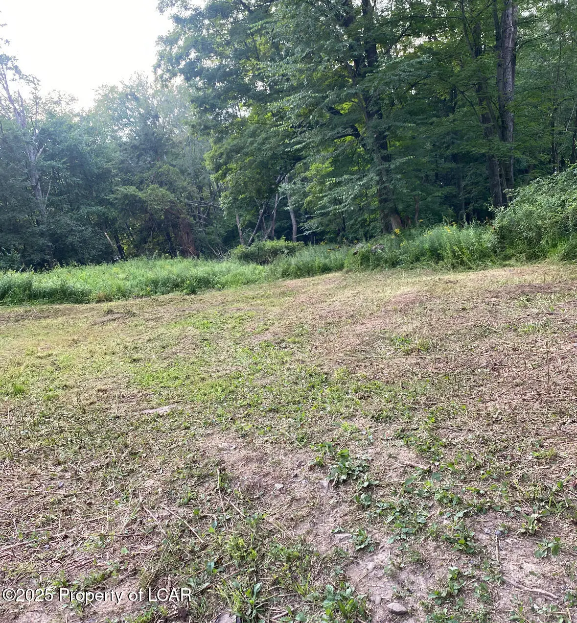 Chase Road, Shavertown in Shavertown