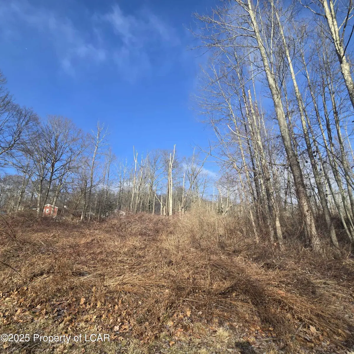Nichols Road, Harveys Lake in Harveys Lake