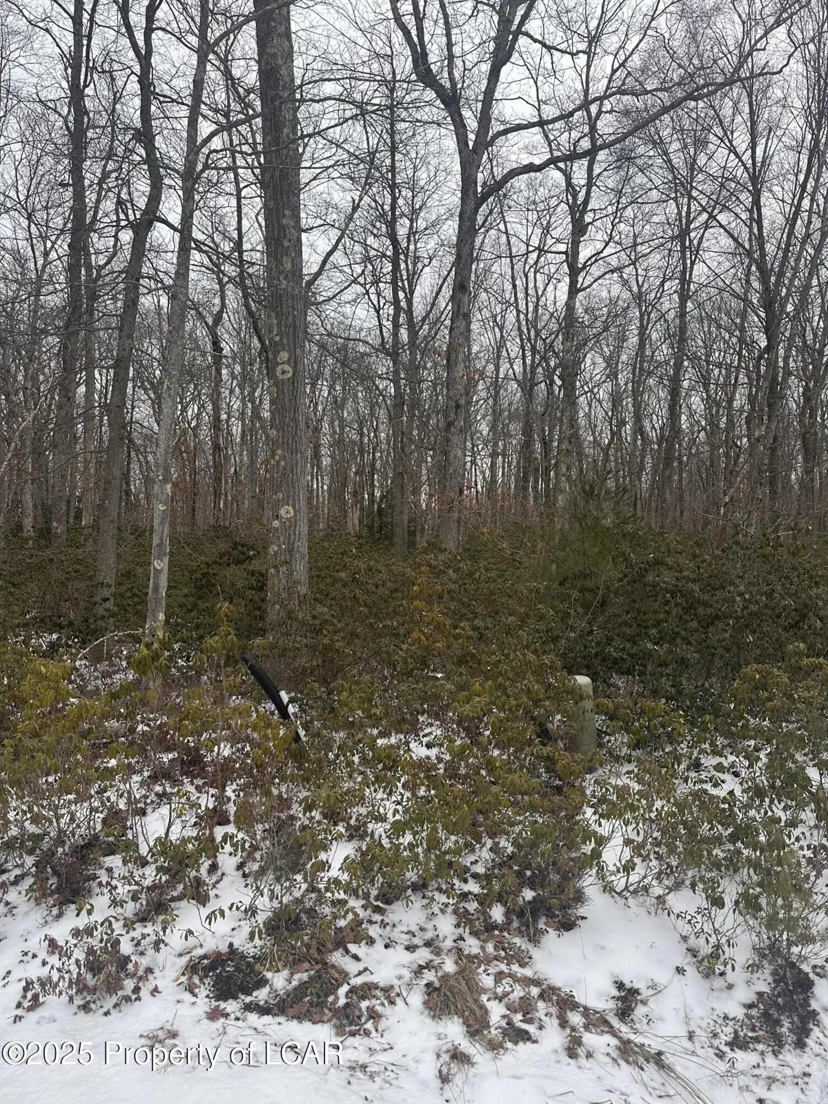 62 Sandspring, Bear Creek in Bear Creek