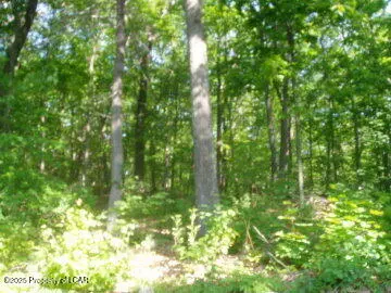 parcel 2 lily lake Road, Wapwallopen in Wapwallopen