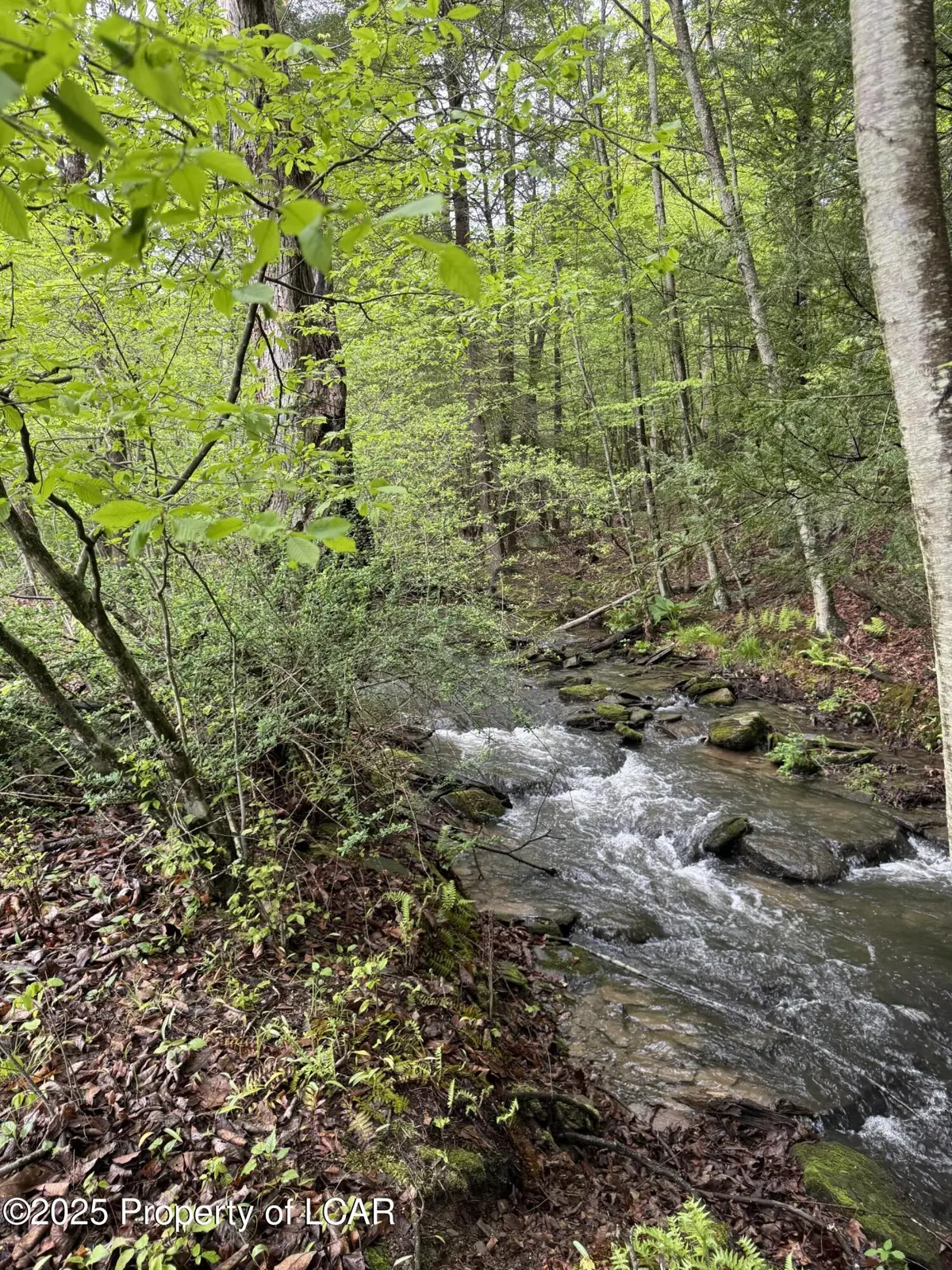 Vacant Land, Reyburn Road, Shickshinny in Shickshinny